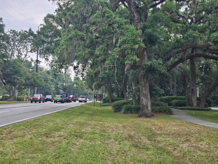 Tree trimming